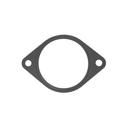 Прокладка насоса ГУР M11, QSM11 3008400